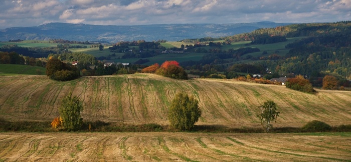 3-terény Slavkovského lesa